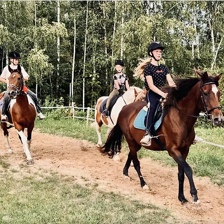 #1 Lakeview Paradise In Mazury, Pets Welcome Kosewo (Mragowo)