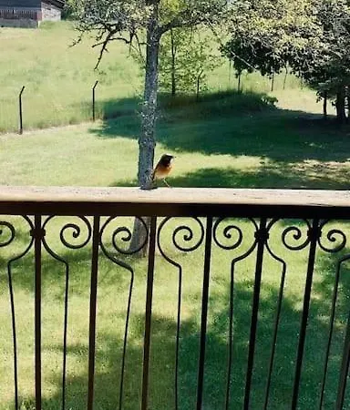 #1 Lakeview Paradise In Mazury, Pets Welcome *